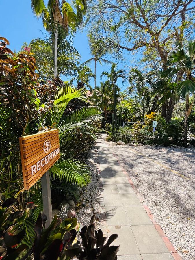 Hotel El Manglar Playa Grande Exterior photo